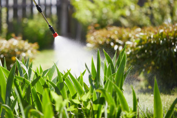 24/7 Emergency Bed Bug Control experts in Fort Hunt, VA