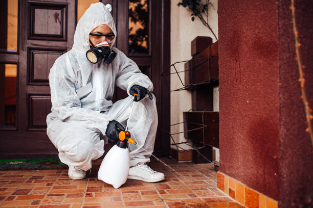 Reliable Bed Bug Control contractor in Fort Hunt, VA by Nex Pest Control