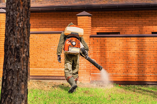 Trusted Cockroach Control service in Fort Hunt, VA - Nex Pest Control